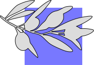 Logo di Filosofia TorVergata