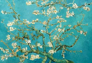 Vincent van Gogh, Almond Blossom