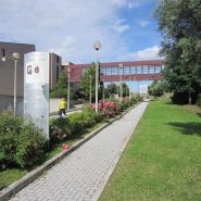 01-fimg_1059.jpg